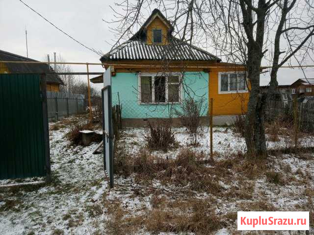  Струнино - изображение 1