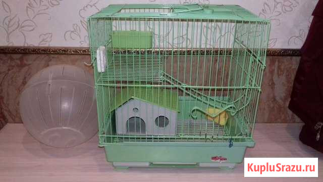 Клетка и шар для грызунов Череповец - изображение 1