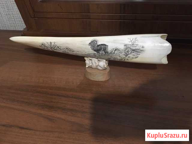 Клык Каспийск - изображение 1