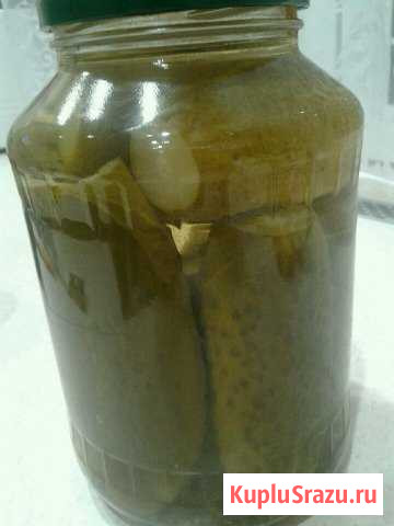 Соленья, заготовки Шуя - изображение 1