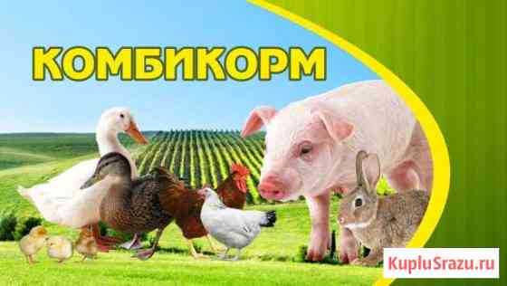 Комбикорма Костомукша