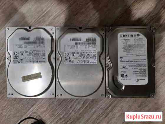 Жесткие диски SATA 80gb Волгоград