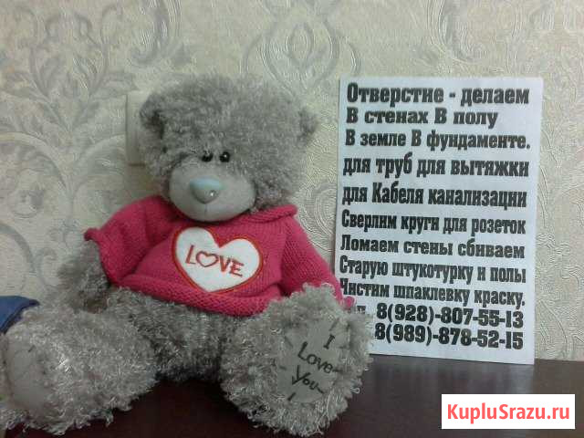 Мишка Южно-Сухокумск - изображение 1