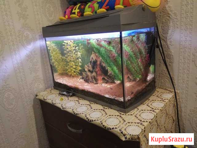 Аквариум 60 л Иваново - изображение 1