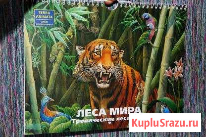 Леса мира: Тропические леса Азии: Наглядное пособи Калининград - изображение 1