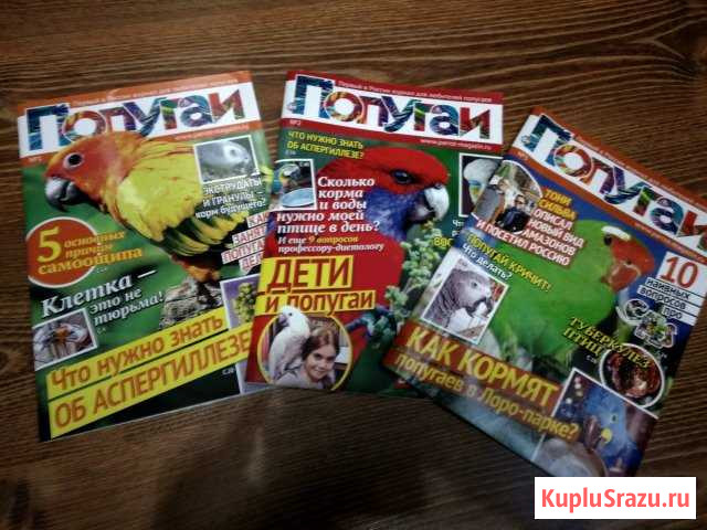 Попугаи. Цена за три номера Калининград - изображение 1