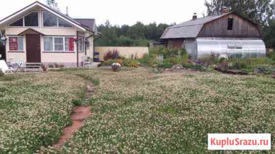  Сыктывкар