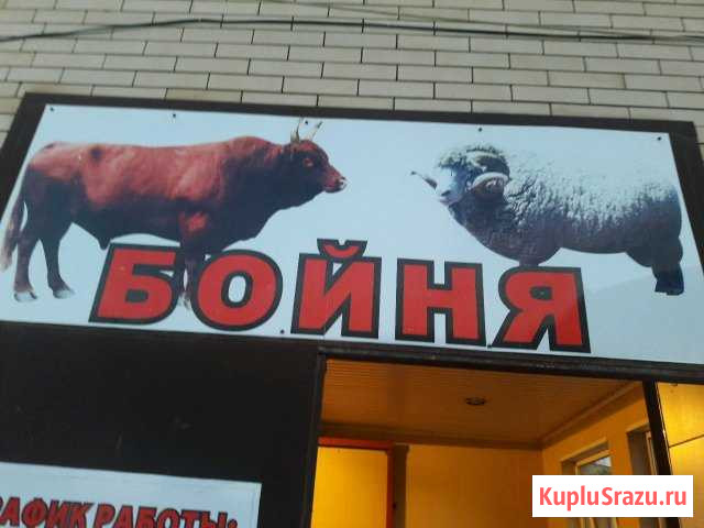 Бойня Черкесск - изображение 1