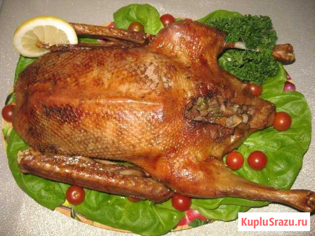 К праздничном столу мясо домашней птицы,паштет дом Куйбышев - изображение 1