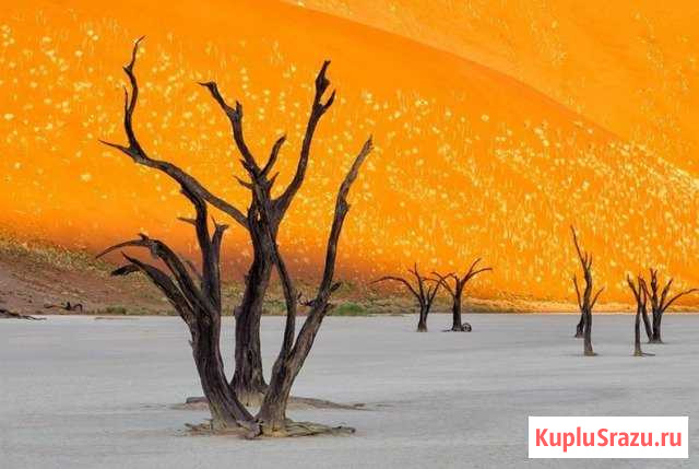 Бытовая кино-фотоаппаратура, оптика и др. оборудов Куйбышев - изображение 1