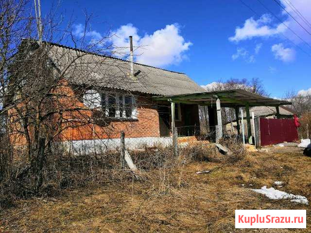 Дом 100 кв.м. на участке 20 сот. Залегощь - изображение 1