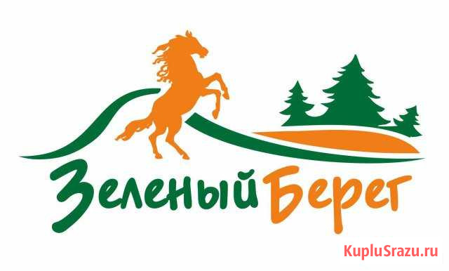 Конюх Тольятти - изображение 1