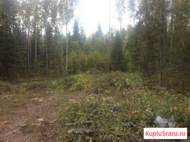  Петрозаводск - изображение 1