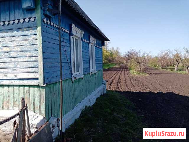 Дом 55 кв.м. на участке 100 сот. Золотухино - изображение 1