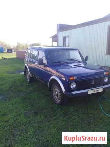 LADA 4x4 (Нива) 1.7 МТ, 1999, внедорожник Добринка - изображение 1