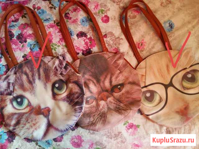 Кошечки Бузулук - изображение 1
