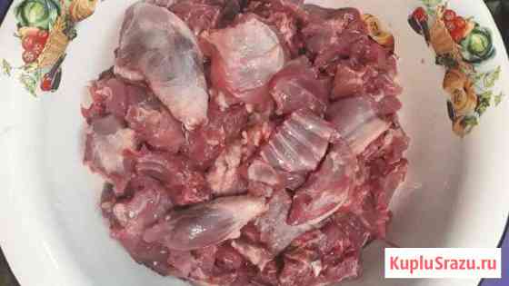 Мясо нутрии Пятигорск