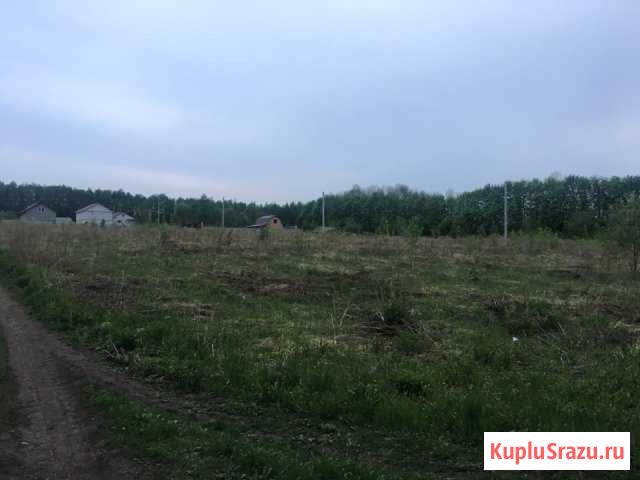  Новомосковск - изображение 1