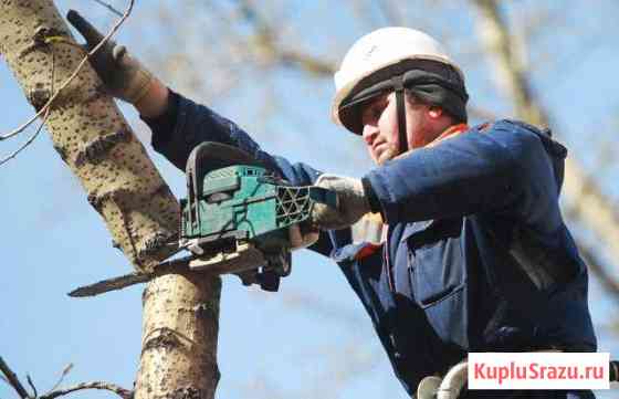 Стрижка газона. Кронирование,обрезка деревьев Ульяновск