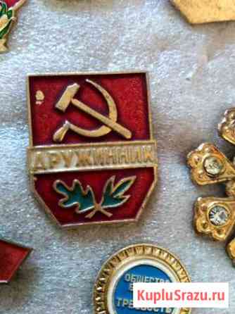 Дружинник Кострома