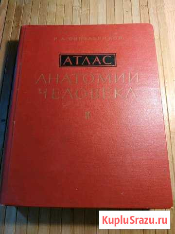 Атлас анатомии человека. Р.Д. Синельников 2-й том Симферополь - изображение 1