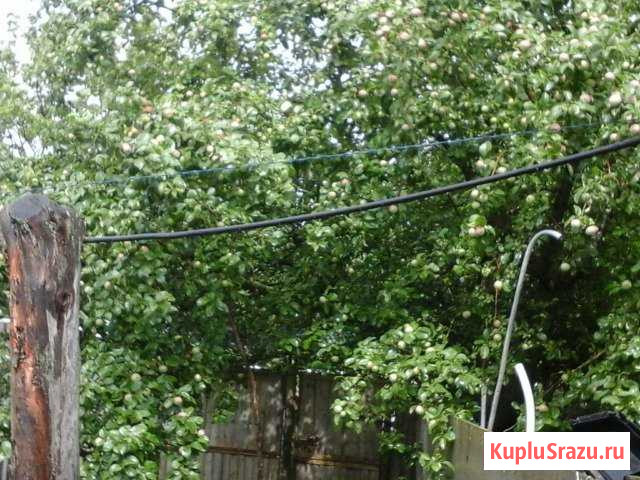 Дом 70 кв.м. на участке 10 сот. Щигры - изображение 1