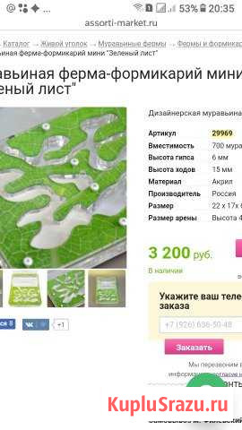 Муравиная ферма (формикарий) Губаха - изображение 1