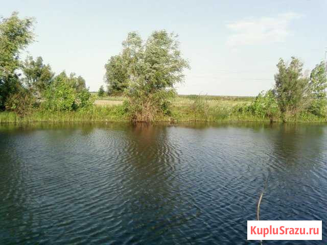  Энгельс - изображение 1