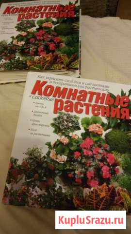 Комнатные растения Чебоксары - изображение 1
