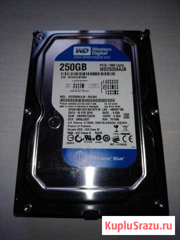 IDE диск WD Caviar Blue 3.5 на 250 Гб Йошкар-Ола - изображение 1