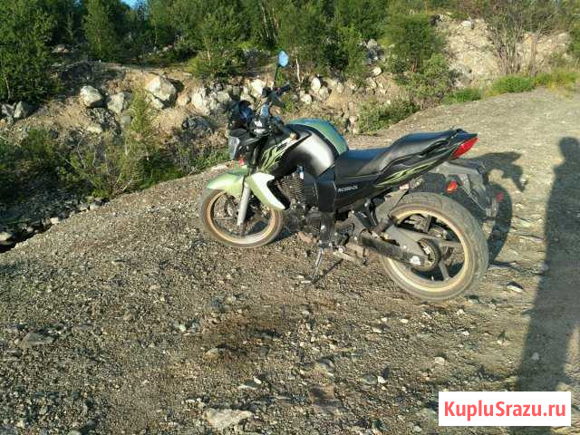Racer nitro 250 Заполярный - изображение 1