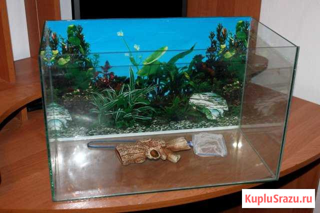 Аквариум 40 л Орск - изображение 1