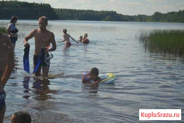  Струги Красные - изображение 1
