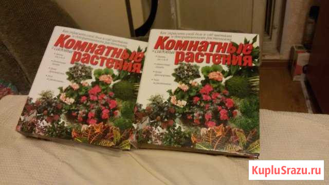 Комнатные растения Чебоксары - изображение 1
