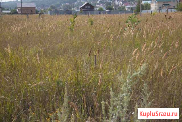  Курумоч - изображение 1