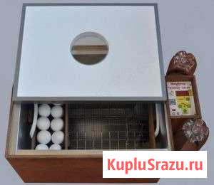 Инкубатор блиц 48 цифровой Мытищи - изображение 1