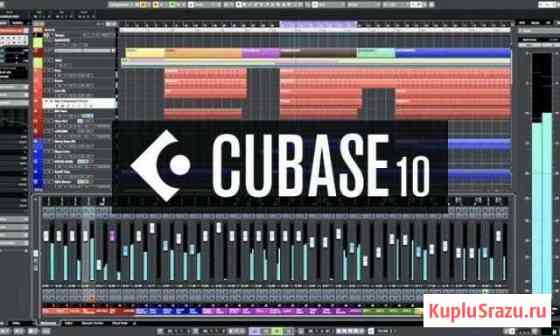 Steinberg Cubase 10 Pro Дедовск