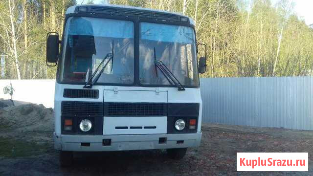 Автобус паз-32053 Ликино-Дулево - изображение 1