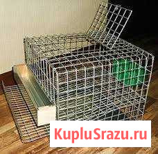 Клетки Раменское - изображение 1