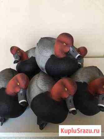 Чучела красноголового нырка 6 шт greenhead gear Химки