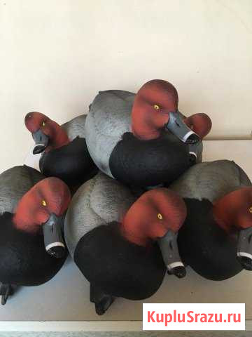 Чучела красноголового нырка 6 шт greenhead gear Химки - изображение 1