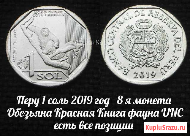 Перу 1 соль 2019 год № 8 Обезьяна Красная Книга Люберцы - изображение 1