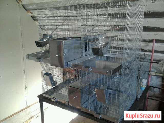 Клетки домики колесо для шиншилл Ейск - изображение 1