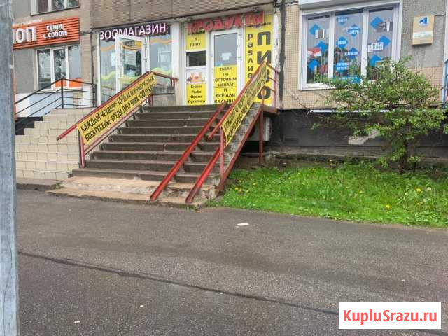 Пивной магазин под ключ Санкт-Петербург - изображение 1