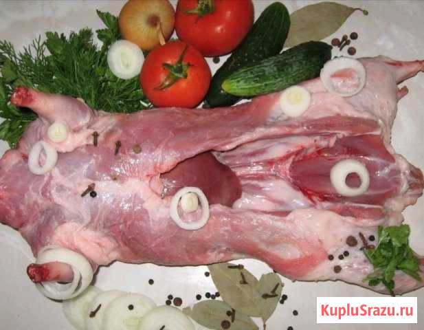 Мясо нутрий Абинск - изображение 1