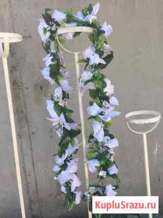 Лиана из цветов Новороссийск