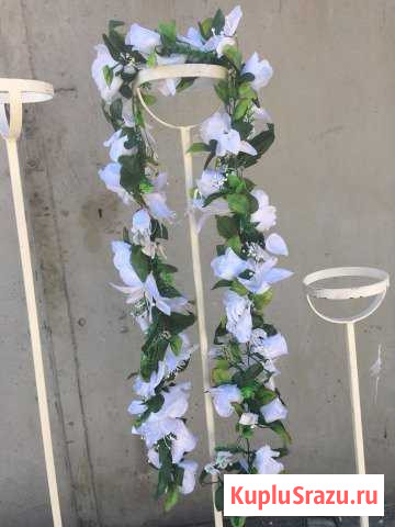 Лиана из цветов Новороссийск - изображение 1