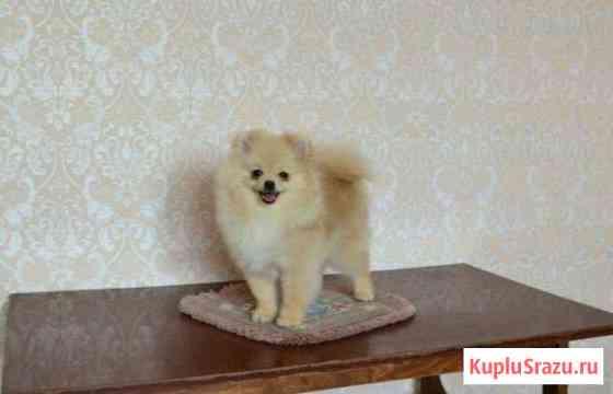 Мишка Миасс