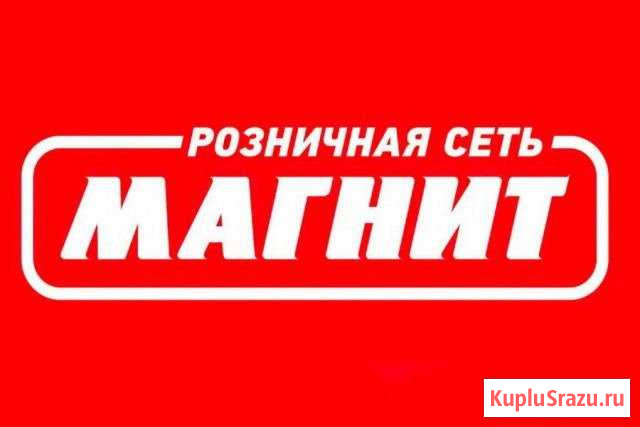 Директор нп Ветлужский Ветлужский - изображение 1