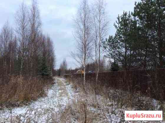  Кингисепп